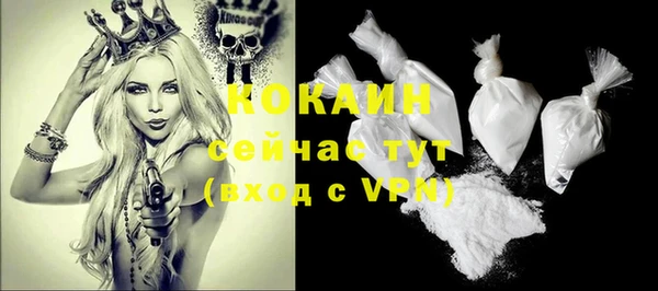 прущие грибы Беломорск