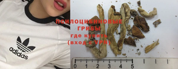 прущие грибы Беломорск