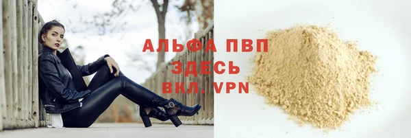 прущие грибы Беломорск