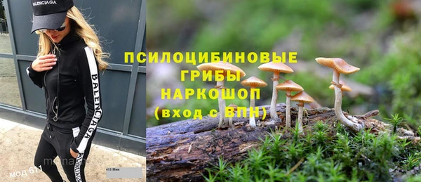 прущие грибы Беломорск