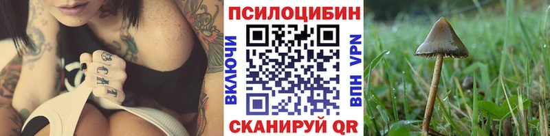 Псилоцибиновые грибы мухоморы  Городец 