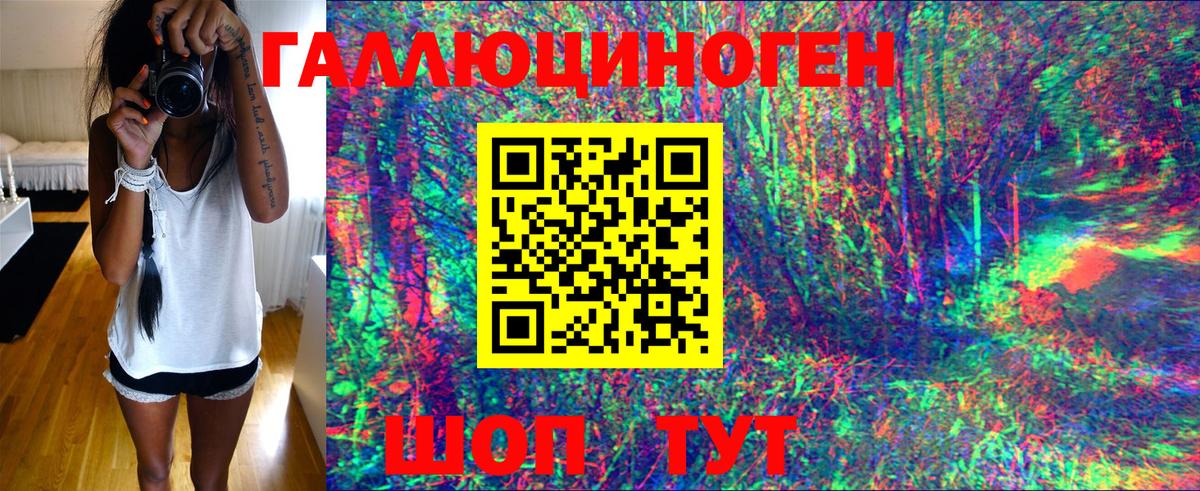 Городец  Псилоцибиновые грибы прущие грибы  Вход с VPN  Псилоцибиновые грибы прущие грибы 