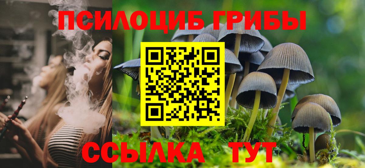 Галлюциногенные грибы GOLDEN TEACHER Городец